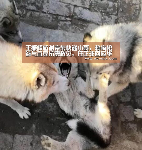 王振辉感谢京东快递小哥,赖梅松参与宜宾抗震救灾,任正非回应华为营收下降...|爱游戏app(图2) 爱游戏官网