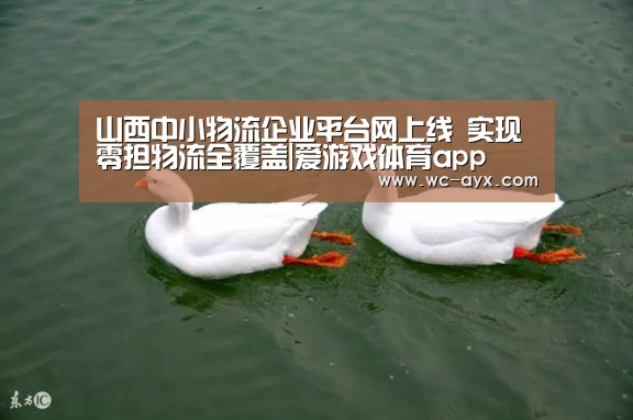 山西中小物流企业平台网上线 实现零担物流全覆盖|爱游戏体育app(图2) 爱游戏官网