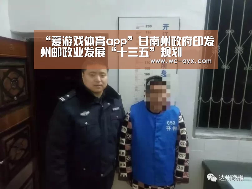 “爱游戏体育app”甘南州政府印发州邮政业发展“十三五”规划(图3) 爱游戏体育app
