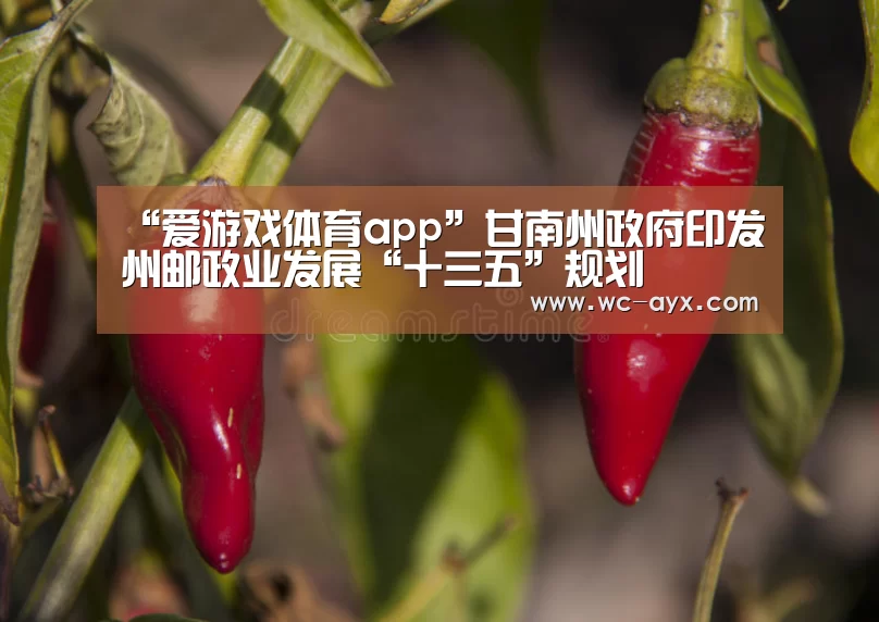 “爱游戏体育app”甘南州政府印发州邮政业发展“十三五”规划(图4) 爱游戏app