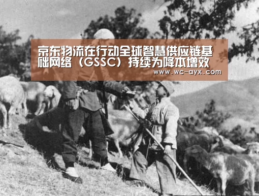京东物流在行动全球智慧供应链基础网络(GSSC)持续为降本增效发挥效能...|爱游戏官网(图2) 爱游戏体育app