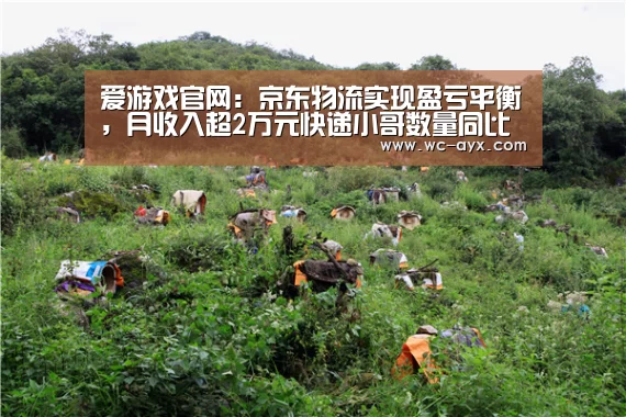 爱游戏官网:京东物流实现盈亏平衡,月收入超2万元快递小哥数量同比增长163%...(图1) 爱游戏官网